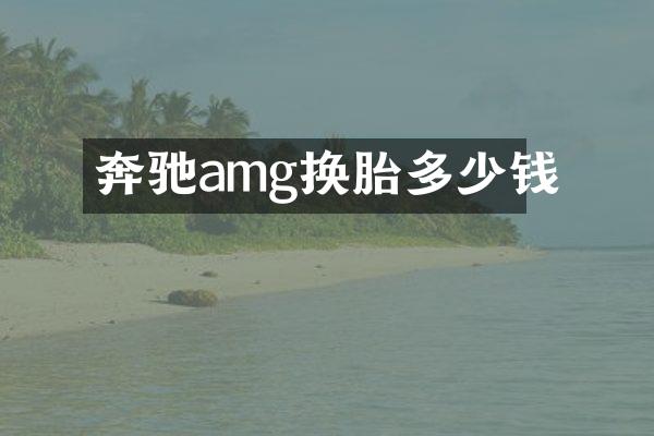 奔驰amg换胎多少钱