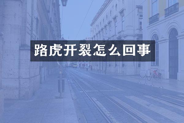 路虎开裂怎么回事
