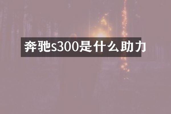 奔驰s300是什么助力