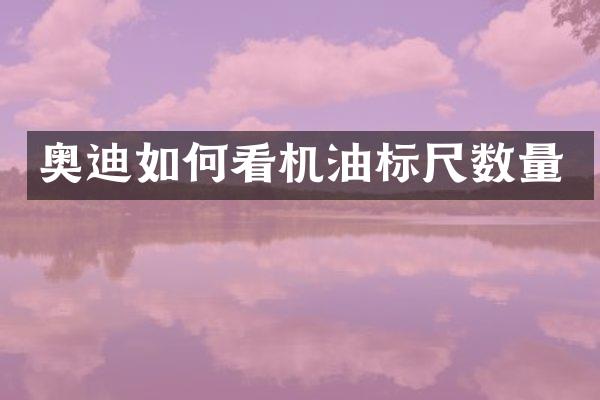 奥迪如何看机油标尺数量