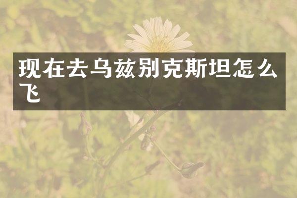 现在去乌兹别克斯坦怎么飞