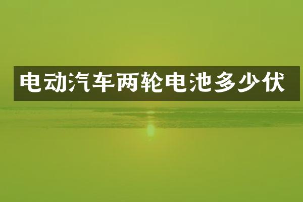 电动汽车两轮电池多少伏