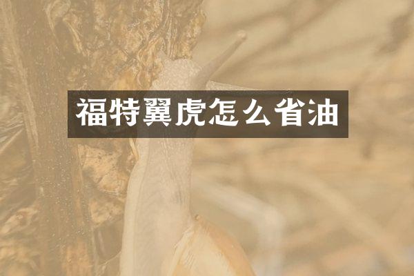 福特翼虎怎么省油