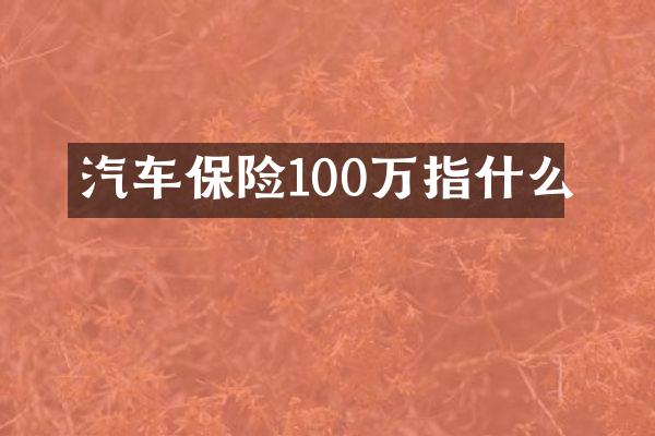 汽车保险100万指什么