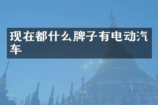 现在都什么牌子有电动汽车
