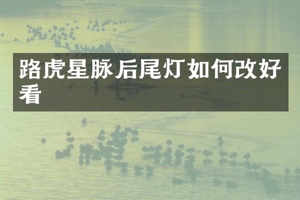 路虎星脉后尾灯如何改好看