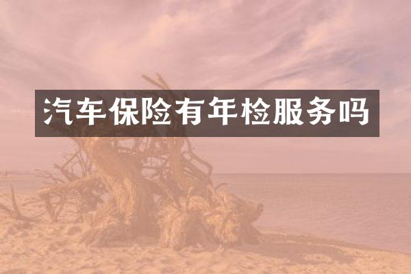 汽车保险有年检服务吗