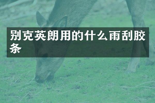 别克英朗用的什么雨刮胶条