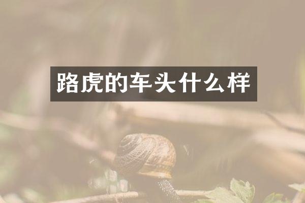 路虎的车头什么样
