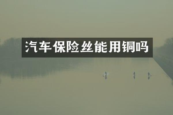 汽车保险丝能用铜吗