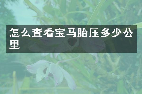 怎么查看宝马胎压多少公里