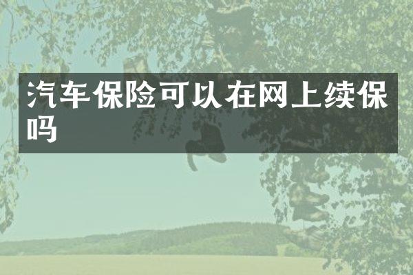 汽车保险可以在网上续保吗