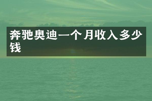 奔驰奥迪一个月收入多少钱