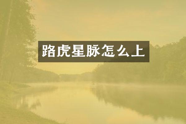 路虎星脉怎么上