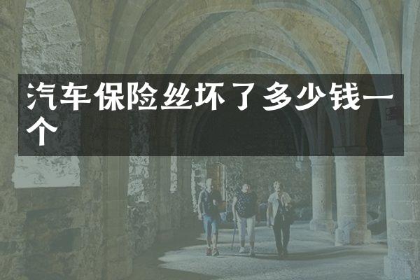 汽车保险丝坏了多少钱一个