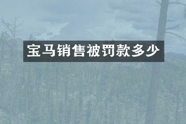 宝马销售被罚款多少