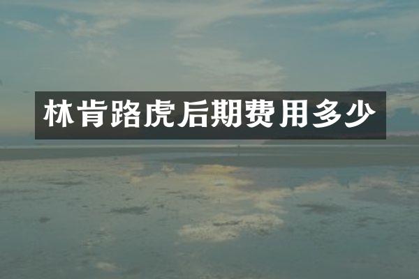林肯路虎后期费用多少