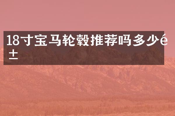 18寸宝马轮毂推荐吗多少钱