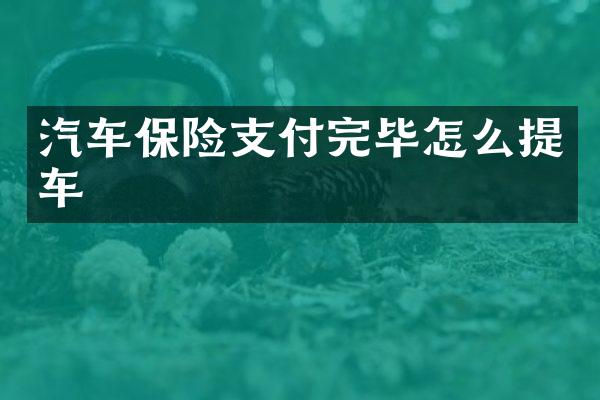 汽车保险支付完毕怎么提车