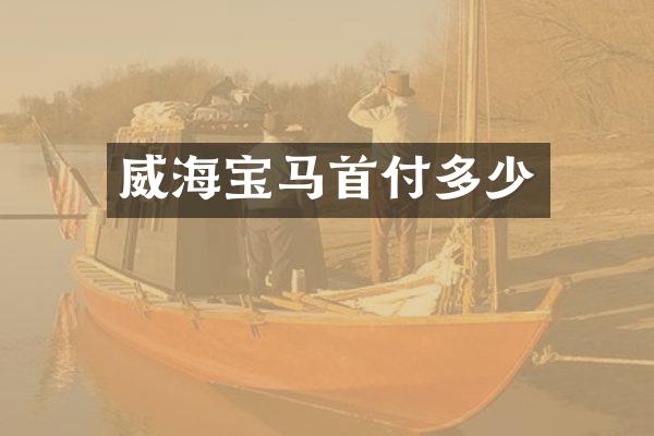 威海宝马首付多少