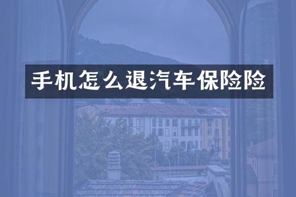 手机怎么退汽车保险险