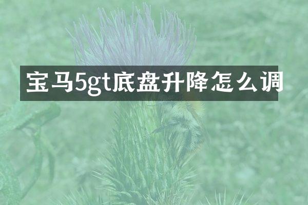 宝马5gt底盘升降怎么调
