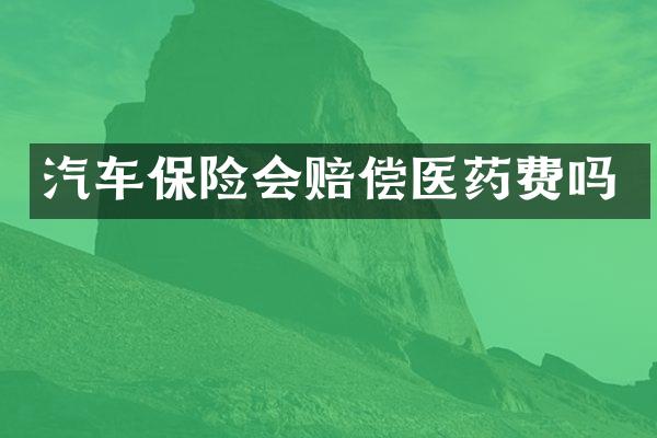 汽车保险会赔偿医药费吗