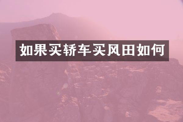 如果买轿车买风田如何