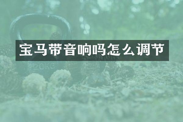 宝马带音响吗怎么调节