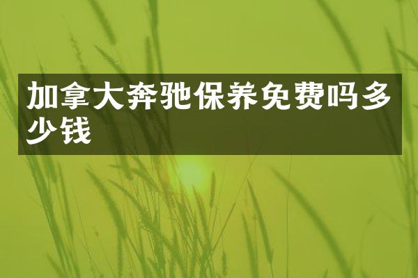 加拿大奔驰保养免费吗多少钱