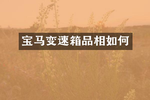 宝马变速箱品相如何