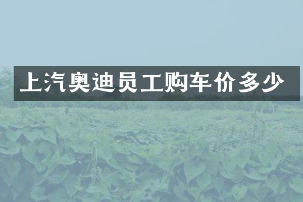 上汽奥迪员工购车价多少