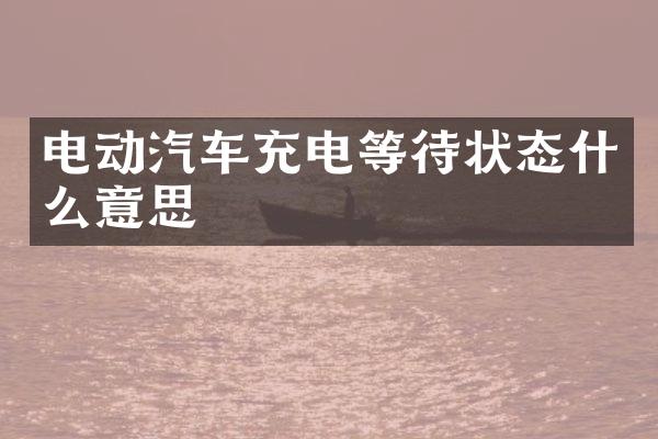 电动汽车充电等待状态什么意思