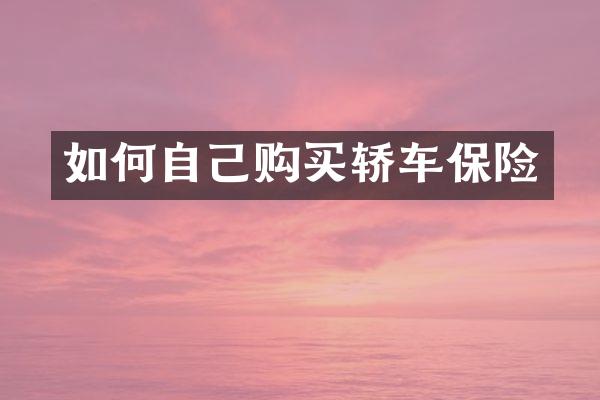 如何自己购买轿车保险