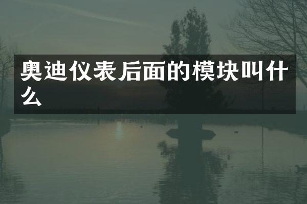 奥迪仪表后面的模块叫什么