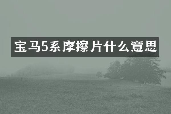 宝马5系摩擦片什么意思