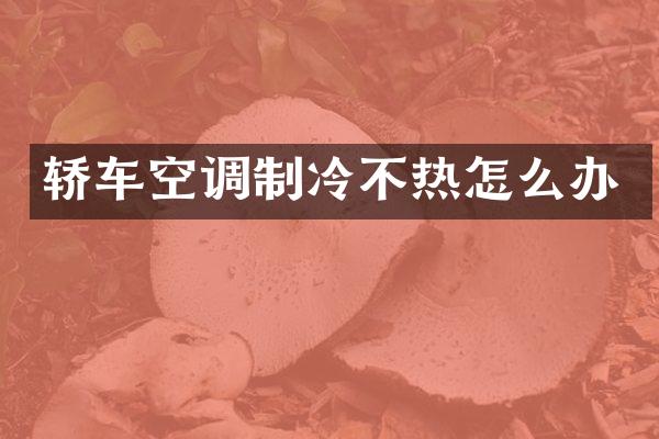 轿车空调制冷不热怎么办