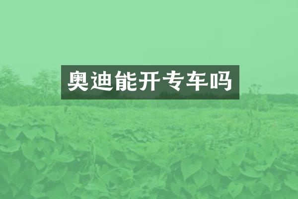 奥迪能开专车吗