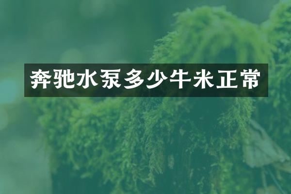 奔驰水泵多少牛米正常
