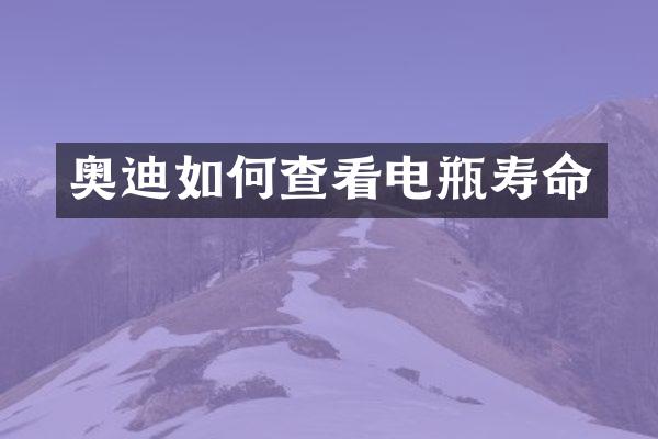奥迪如何查看电瓶寿命