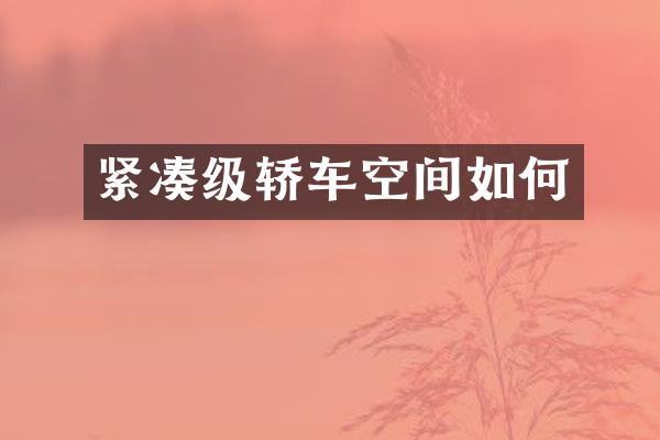 紧凑级轿车空间如何