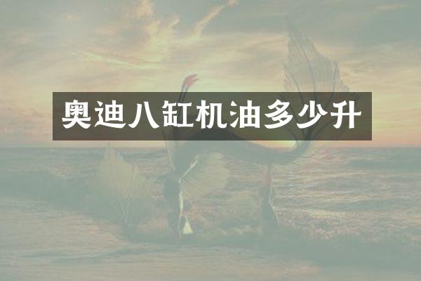奥迪八缸机油多少升