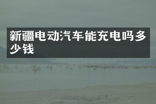 新疆电动汽车能充电吗多少钱