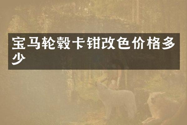 宝马轮毂卡钳改色价格多少