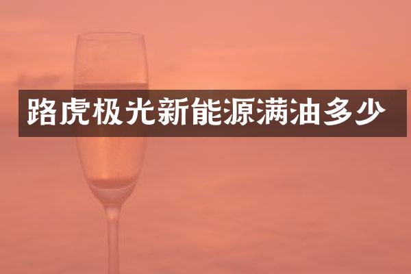 路虎极光新能源满油多少