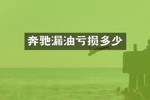 奔驰漏油亏损多少