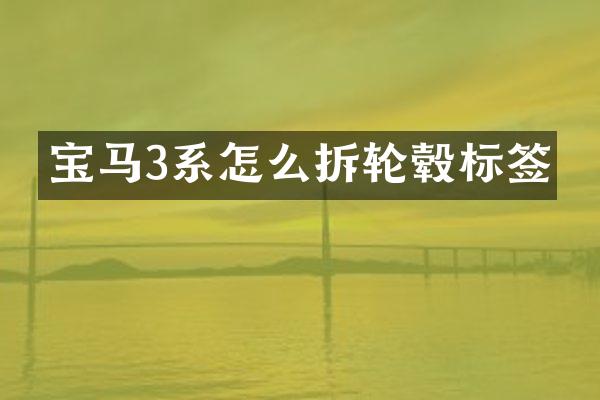 宝马3系怎么拆轮毂标签