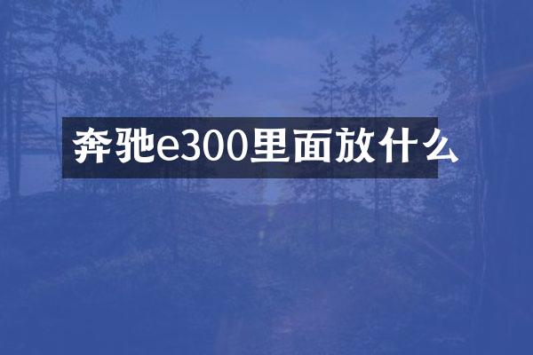 奔驰e300里面放什么