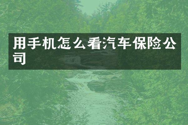 用手机怎么看汽车保险公司