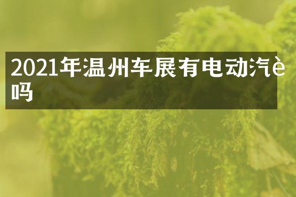2021年温州车展有电动汽车吗